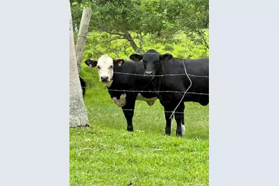 16000 Bay Pointe Blvd #306, North Fort Myers, FL 33917 - Photo 39