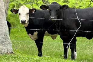 16000 Bay Pointe Blvd, North Fort Myers, FL 33917 - Photo 39