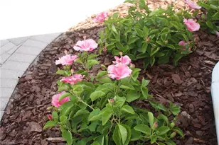 4482 Waterscape Ln, Fort Myers, FL 33966 - Photo 27