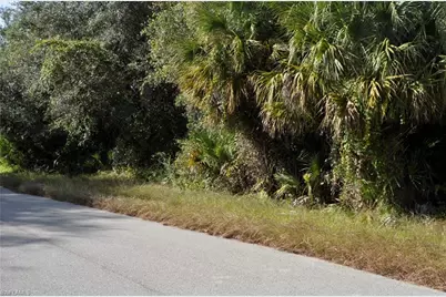 1013 Anderson St, Lehigh Acres, FL 33974 - Photo 3