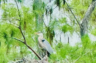 10386 Materita Dr, Fort Myers, FL 33913 - Photo 49