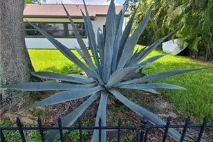 2207 NE 1st Terrace, Cape Coral, FL 33909 - Photo 33