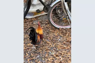 837 Pine Cone Ave, Clewiston, FL 33440 - Photo 17