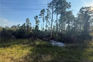 1086 Ainsworth St E, Lehigh Acres, FL 33974 - Photo 1