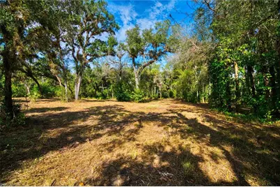 14221 River Rd, Fort Myers, FL 33905 - Photo 5