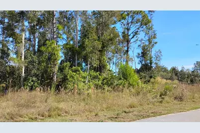 4810 30th St SW, Lehigh Acres, FL 33973 - Photo 3