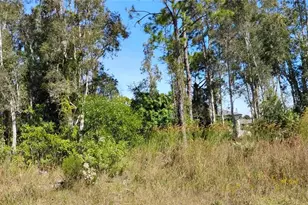 4810 30th St SW, Lehigh Acres, FL 33973 - Photo 1