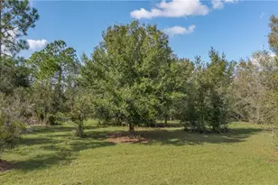 64 Clarice Ct, Venus, FL 33960 - Photo 27