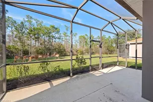 21379 Bella Terra Blvd, Estero, FL 33928 - Photo 3