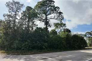 1806 East 10th Street, Lehigh Acres, FL 33972 - Photo 1