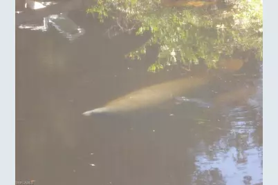 10690 Goodwin St, Bonita Springs, FL 34135 - Photo 13