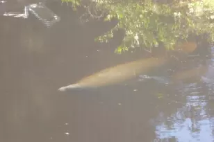 10690 Goodwin St, Bonita Springs, FL 34135 - Photo 13