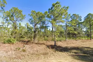 1037 Hobart St, Lehigh Acres, FL 33974 - Photo 1