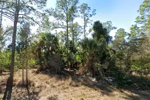 1105 W 14th St, Lehigh Acres, FL 33972 - Photo 1