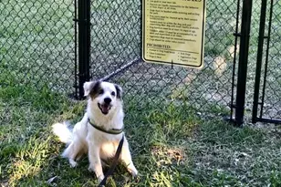 12601 Mastique Beach Blvd, Fort Myers, FL 33908 - Photo 37