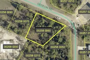838 Gedeon Rd, Lehigh Acres, FL 33974 - Photo 1