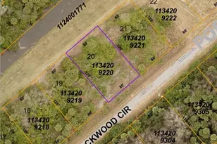 1134209220 Blackwood Circle, North Port, FL 34288 - Photo 1