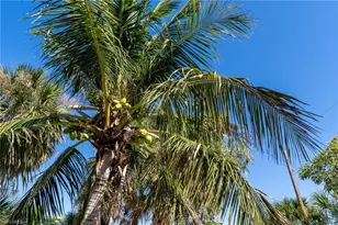 5801 Sanibel Captiva Rd, Sanibel, FL 33957 - Photo 43