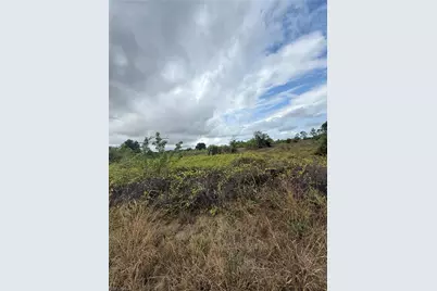 1503 Irving Ave, Lehigh Acres, FL 33972 - Photo 3