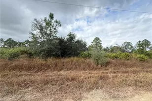 511 Louis Ave, Lehigh Acres, FL 33972 - Photo 1