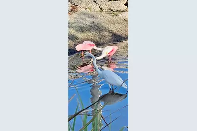 613 Pine Grove Ct, North Fort Myers, FL 33917 - Photo 35