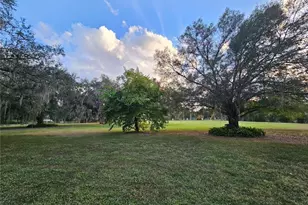 3680 Fort Denaud Rd, Labelle, FL 33935 - Photo 9