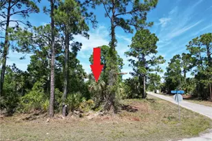 920 Mayfield Ave S, Lehigh Acres, FL 33974 - Photo 1