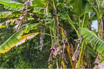 14630 Aeries Way Dr, Fort Myers, FL 33912 - Photo 45