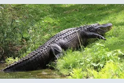 14145 Grosse Point Ln, Fort Myers, FL 33919 - Photo 43