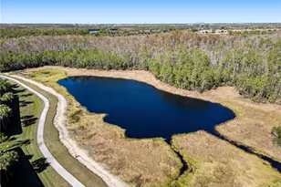 11011 Mill Creek Way, Fort Myers, FL 33913 - Photo 29