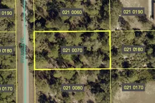 1310 Irving Ave, Lehigh Acres, FL 33972 - Photo 1