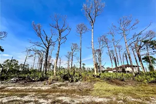 6 Adrift Ct, Placida, FL 33946 - Photo 1