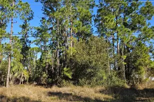 3903 East 10th Street, Lehigh Acres, FL 33972 - Photo 1