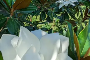 2623 Somerville Loop, Cape Coral, FL 33991 - Photo 33