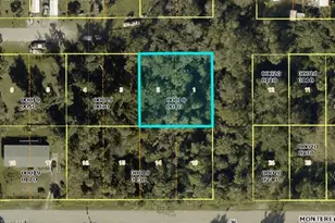 433 Santa Cruz St, North Fort Myers, FL 33903 - Photo 1