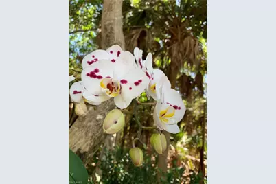 14831 Park Lake Dr #112, Fort Myers, FL 33919 - Photo 39