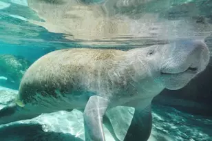 4012 10th St SW, Lehigh Acres, FL 33976 - Photo 47