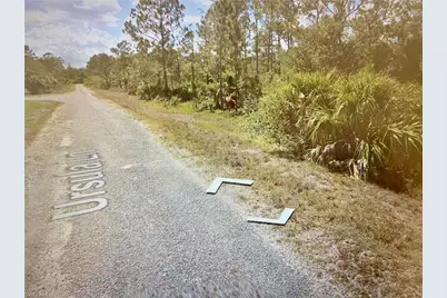 374 Ursula Ln, Lehigh Acres, FL 33972 - Photo 5