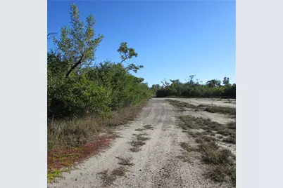 Ficus Tree, Bokeelia, FL 33922 - Photo 3