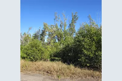 Ficus Tree, Bokeelia, FL 33922 - Photo 5