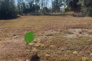 2136 NE 39th Terrace, Cape Coral, FL 33909 - Photo 1