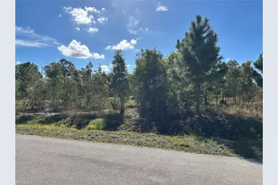920 Panda Dr, Lehigh Acres, FL 33974 - Photo 3