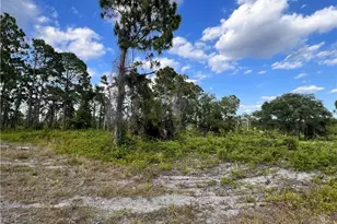 763 Worth Ave S, Lehigh Acres, FL 33974 - Photo 1