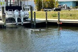 12235 Boat Shell Dr, Matlacha Isles, FL 33991 - Photo 45