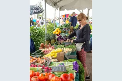 43997 Boardwalk Loop #1816, Punta Gorda, FL 33982 - Photo 37