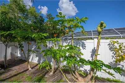 3818 SW 6th Pl, Cape Coral, FL 33914 - Photo 27