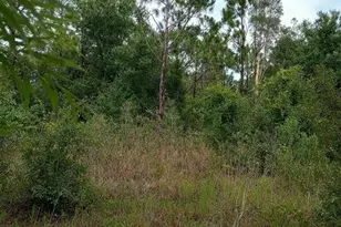 15419 & 15427 Lime Dr, Punta Gorda, FL 33955 - Photo 21