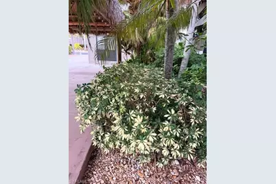 10212 Yellowtop Trl, Fort Myers, FL 33905 - Photo 9