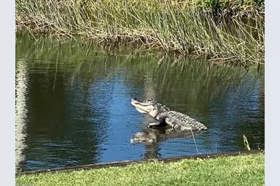 10307 White Palm Way, Fort Myers, FL 33966 - Photo 35