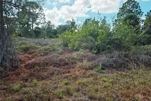 951 Chadwick Ave, Lehigh Acres, FL 33974 - Photo 3